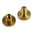 BROWNELLS LATIGO BRASS CHICAGO SCREWS, 2 PACK