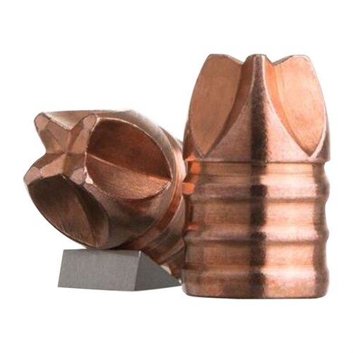 Entdecke die 44 Kaliber Xtreme Defense FTM Geschosse von LeHigh Defense! 🔥 Für maximale Leistung und reduzierte Eindringtiefe.