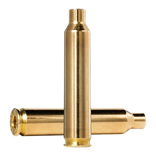 Entdecke die 204 Ruger Brass von Norma! Premium-Qualität für Wiederlader. 🛠️ 50 Hülsen pro Box für präzise Ergebnisse.
