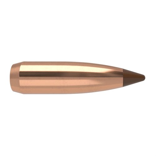 Entdecke die Nosler 6.5mm Ballistic Tip Geschosse für präzises Jagen 🎯. Ideal für maximale Leistung und hohe Ballistik. 50 Stück pro Box!