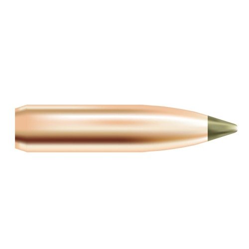Entdecke die Nosler EXPANSION TIP® Blei-freie 30 Caliber Spitzer Geschosse! 🏹 Perfekt für Varmint-Jagd mit schneller Expansion und Genauigkeit.